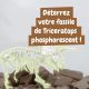 kit de fouille Tricératops phosphorescent